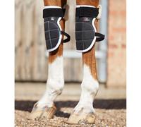 Protège-genoux magnétiques pour cheval Premier Equine Magni-Teque Noir TU