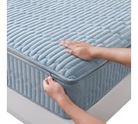 Protege Matelas Integral Alèse Drap Housse 90/120/140/160/180x190,Personnalisable,Housse de Protection pour Matelas avec Fermeture éclair Velours de Coton Lavable Surmatelas Matelassé (180X190+13cm,Bl