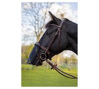 Protège naseaux pour cheval BR Equitation Noir Poney