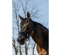 Protège naseaux pour cheval Equithème Anti UV Noir S