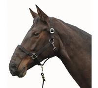 Protège naseaux pour cheval polaire HKM (x3) Noir TU