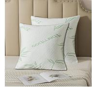 Protege Oreiller 60x60cm Lot de 2 Impermeable Fermeture enveloppe Respirant Housse Oreiller Enveloppe Bamboo 60 PROTECTION OREILLER