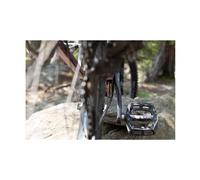 Protege plateau oak grown bashguard iscg05 gris