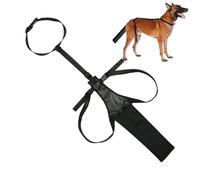 Protège-queue de chien 56 x 30 cm, housse de protection réglable en tissu Oxford, protection durable pour protéger les blessures et prévenir les traumatismes lors du toilettage après la récupération