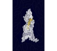 Protein Structure Sketchbook: Unlined Science Journal: Notebook featuring 12 3D Molecular Art Renders and Elegant Bio-Art Borders for Biologists, Bioengineers, and Researchers