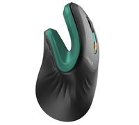 ProtoArc EM11 NL Souris Ergonomique sans Fil, Souris Verticale Rechargeable avec 3 Ports D'appareils (Bluetooth & USB), Mini Souris Silencieuse pour PC, iPad, Mac, Windows - Noir Vert