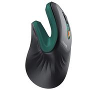 ProtoArc EM11 NL Souris ergonomique verticale sans fil, souris ergonomique avec multi-appareils, souris rechargeable USB-C pour Windows, Mac OS, PC/Notebook/ordinateur portable, vert