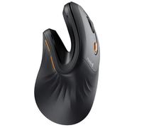 ProtoArc EM11 NL Souris Verticale Ergonomique sans Fil, Rechargeable