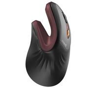ProtoArc EM11 NL Souris Verticale Ergonomique sans Fil, Rechargeable