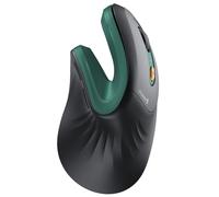 ProtoArc EM11 NL Souris Verticale Ergonomique sans Fil, Rechargeable