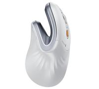 ProtoArc EM11 NL Souris Verticale Ergonomique sans Fil, Rechargeable