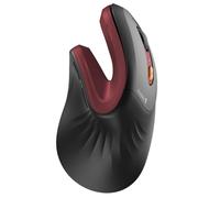ProtoArc Souris Ergonomique sans Fil, EM11 NL Souris Verticale Rechargeable avec 3 Ports D'appareils (2*Bluetooth & USB), Mini Souris Silencieuse pour PC, iPad, Mac, Windows - Noir Rouge