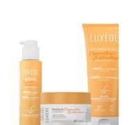 Protocole réparation moléculaire