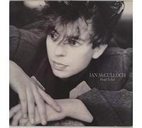 PROUD TO FALL 7" (45) UK WEA 1989 B/W POTS OF GOLD (YZ417) PIC SLEEVE