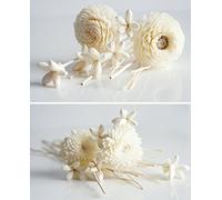 proudnature 2 jeux de produit Sola Fleurs en bois avec diffuseur pour la maison Huile parfum parfum.