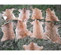 Provellus Rehfell Couverture d'été en fourrure de chevreuil Décoration écologique 2ème choix