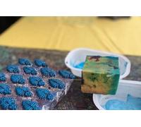 Provence et Secrets d Atelier au bord de la mer