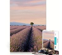 Provence, France Puzzle 1000 pièces pour Adultes pour renforcer Les Liens, se Souvenir, Passer Un Moment Serein et Profiter d'une qualité exceptionnelle 38x26cm