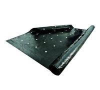 Windhager Film de paillage 06752 – Anti-mauvaises herbes, stabilisé aux UV, perforé 10 x 1,2 m 20 µm