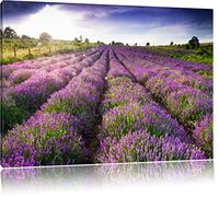Provence Peinture de Champs de Lavande sur Toile, Format XXL Support en Bois, Leinwand Format:100x70 cm