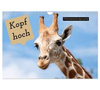 Proverbes de motivation de tête, Version française (Calendrier mural 2026 DIN A4 portrait), Calendrier CALVENDO mensuel