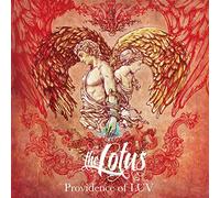 Providence of Luv [Ltd.Edition [Import allemand]