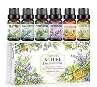 PROVINA Coffret d'Huiles Parfumées Aromatiques 6x10 ml pour Diffuseur & Cadeau | Lavande, Eucalyptus, Arbre à Thé, Menthe, Orange Douce et Citronnelle | Idéal pour Bain, Bougies & Savons DIY