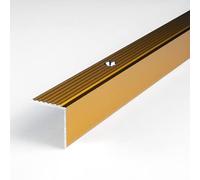 PROVISTON | Nez de marche | Alu anodisé | Couleur or | Largeur 20 mm | Hauteur 20 mm | Longueur 1000 mm | Nez de marche à visser | Nez de marche escalier | Cornière alu | 1 pièce