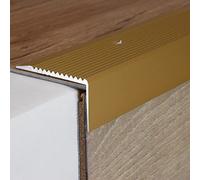 PROVISTON | Nez de marche | Alu anodisé | Couleur or | Largeur 50 mm | Hauteur 28 mm | Longueur 1000 mm | Nez de marche à visser | Nez de marche escalier | Cornière alu | 1 pièce