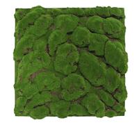 PROVISTON Panneau mural végétal artificiel 520 x 520 x 30 mm grosse boule mousse