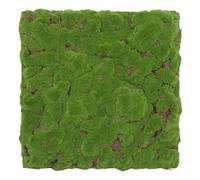 PROVISTON Panneaux muraux acoustiques 3D - 520 x 520 x 30 mm - Pour mur végétal - En plastique - Vert forêt - Mousse dense - Panneaux muraux modulaires