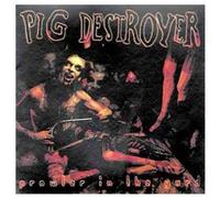 Prowler in the Yard – The Orchard