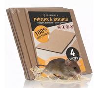 PROXINOVA Piège à Souris Collant avec 4 Plaques Adhésives, Colle Très Forte sans Poison, Glue Anti Souris Intérieur Extérieur, Piège à Rat Format Plat pour Murs Caves Cuisines Garages - Made in Italy