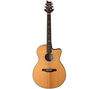 PRS PRS SE A50E BG inc. Case
