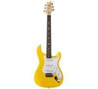 PRS PRS SE Silver Sky Dandy Lion