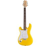 PRS PRS SE Silver Sky Dandy Lion LH