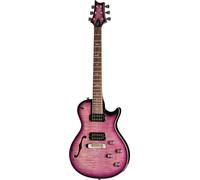 PRS PRS SE Zach Myers EB