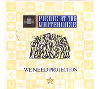 PRTA6783 7"-45 giri" We Need Protection / Little Lady VINYL
