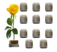 Prterver 12 Pièces Support de Grenouille de Fleur, Arrangement Floral Carré de 1,2 Pouces Kenzan Grenouilles Japonaises pour la Fixation et la Décoration des Fleurs