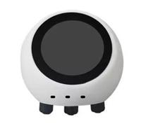 Prterver AI Voice Chat Robot Ball - Board de Développement 1,28 Pouce LCD SP Station Météorologique Assistant Home Assistant