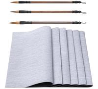 Prterver Peinture Magique à L'Eau, Toile Magique Réutilisable, Ensemble Toile et Pinceau à Eau - Pack de 6 de 17 X 13 Pouces de Tissu de Dessin à L'Eau.