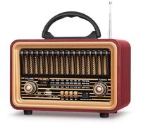 PRUNUS J-170 Radio rétro AM/SW/FM, petite radio portable, 1800 mAh, rechargeable avec haut-parleur Bluetooth 7 W, radio vintage prend en charge la fonction USB/TF/TWS/BT5.0