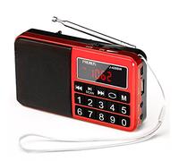 PRUNUS J-429 Petite Radio Portable Rechargeable avec Haut-parleur FM/AM(MW)/SW/USB/Micro-SD/MP3. Mini Radio fm portable avec Gros Boutons et Grand écran. (Pas de Prise Charge des Stations prédéfinies)