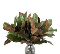 Pruojhw Branches Artificielles - Feuilles de Magnolia Fausses - Tiges Artificielles Verdure Au Toucher Réel,pour Arrangement Floral Décoration Maison Bureau Mariage Noël Fêtes Centres de Table