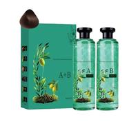 Pruojhw Lot de 2 colorations capillaires pour cheveux - Couverture des cheveux gris avec huile de soin longue durée - Pour salon à domicile et routine de soins quotidiens - Pour homme, femme et