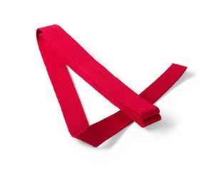 Prym 965186-1 Cinturino per borse, 30mm, Rosso, 30 mm
