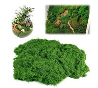 PRZRAO 100g Mousse Artificielle pour Décoration, Nylon Fausse Mousse Vegetale, Fausse Mousse Mur d'art DIY pour Mariage, Noël, Pâques, Maison (Vert Foncé)