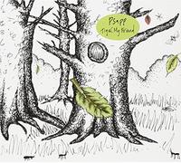 Psapp - Tiger, My Friend [Import]