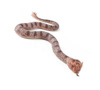 Psdndeww Action de serpent en caoutchouc solide Figurine de serpent réaliste Jouet pour soulager le stress et la décoration de jardin Accessoires de poisson d'avril