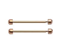Psdndeww Lot de 2 tiges à vis pour bracelet de montre - Fermoir à broche de friction - Accessoire de réparation pour montre - 16/18/20/22 mm - Fermoir à boucle - Tube de friction - Tige de montre